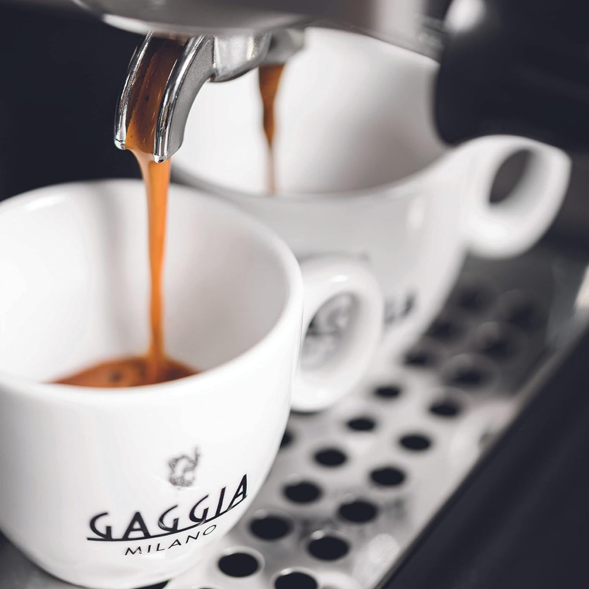 Machine Espresso Gaggia New Classic RI 9481/11 E24