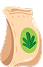 Café en grain vert